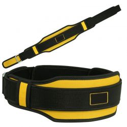 Training Belt