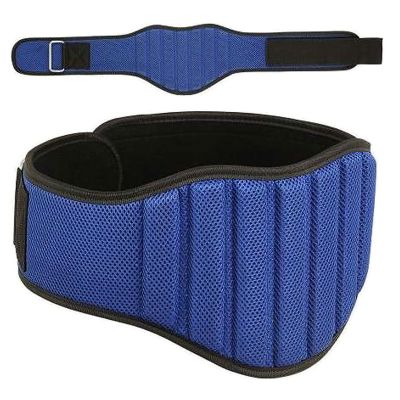 Training Belt